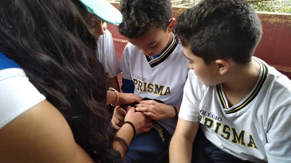 Bicho Mania 2022